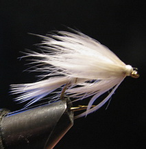 ���� ������ Wet fly 